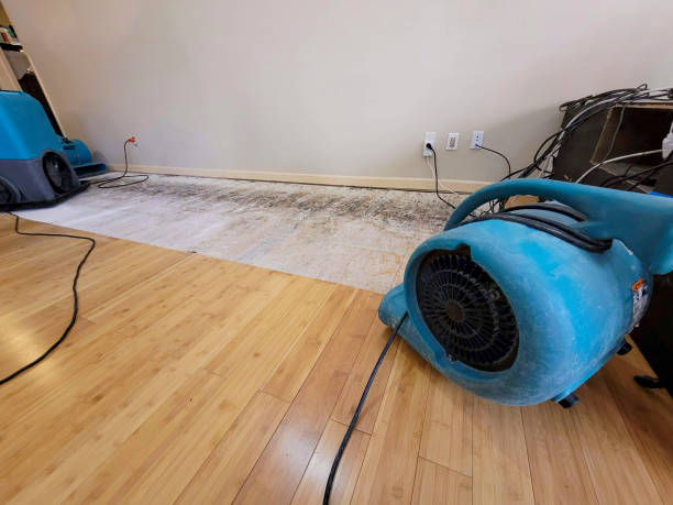 Professional Water Damage Repair technician working in Gilberts, IL
